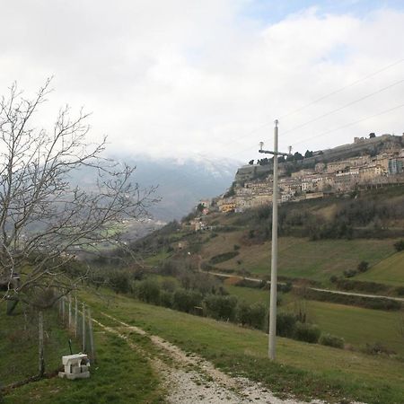 B&B La Collina Degli Ulivi Civitella Del Tronto Esterno foto